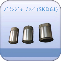 ﾌﾟﾗﾝｼﾞｬｰﾁｯﾌﾟ